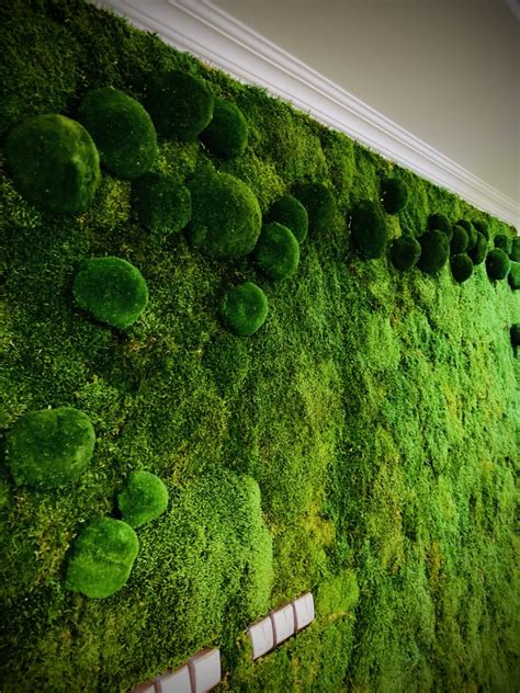 Ukážka rôznych machových dekorácií: stena, kvetináč, guľa