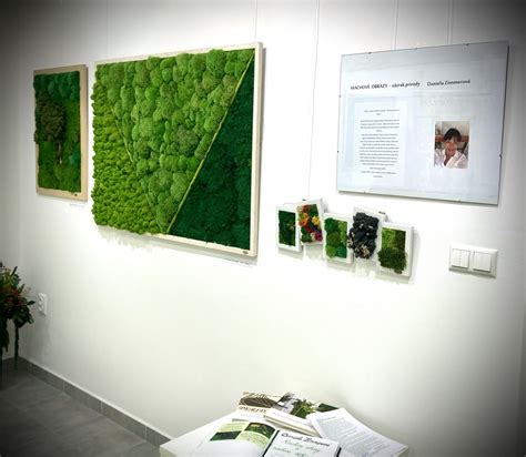 Príklady rôznych machových obrazov a dekorácií