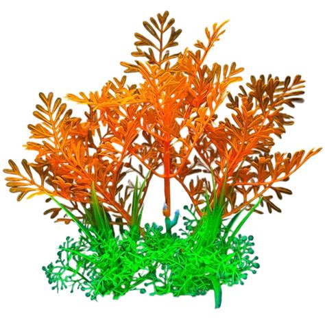 Ukážka akvária s machom, ktorý slúži ako úkryt pre ryby