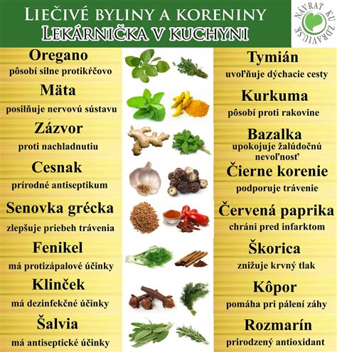 Koláž rastlín odpudzujúcich kliešte (levanduľa, rozmarín, mäta, cesnak)