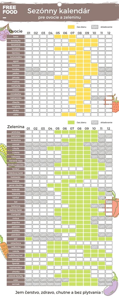 infografika: sezónny kalendár prác v záhrade od výsevu po zber