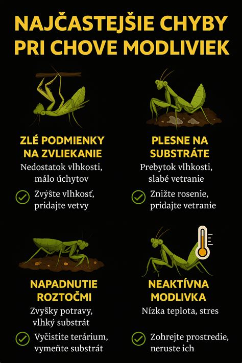 Infografika zobrazujúca ideálne svetelné podmienky, teplotu a vlhkosť pre Scindapsus.