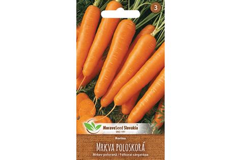 Zobrazenie zberu mrkvy pomocou rýľa.