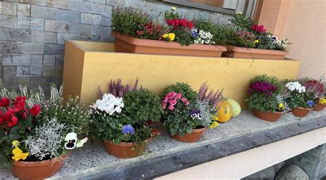 Rodinné záhradkárstvo Košický Poprad: portrét zakladateľov a súčasného majiteľa