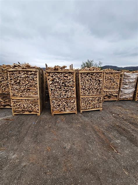 ilustrácia postupu delenia listu Sansevierie na odrezky a ich výsadby