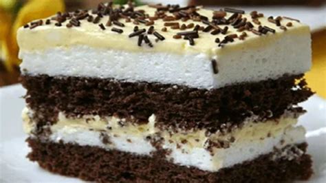 Zimné foto skalnej ruže pokrytej snehovou vrstvou