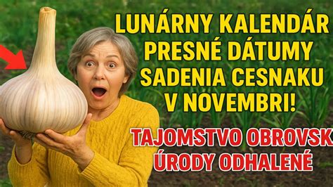 schéma ideálneho času sadenia cesnaku