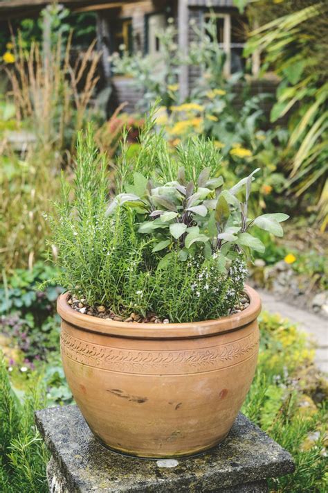 Rôzne typy nádob na pestovanie byliniek