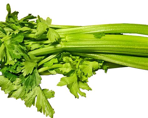 fotografia čerstvých stoniek zeleru s dipom