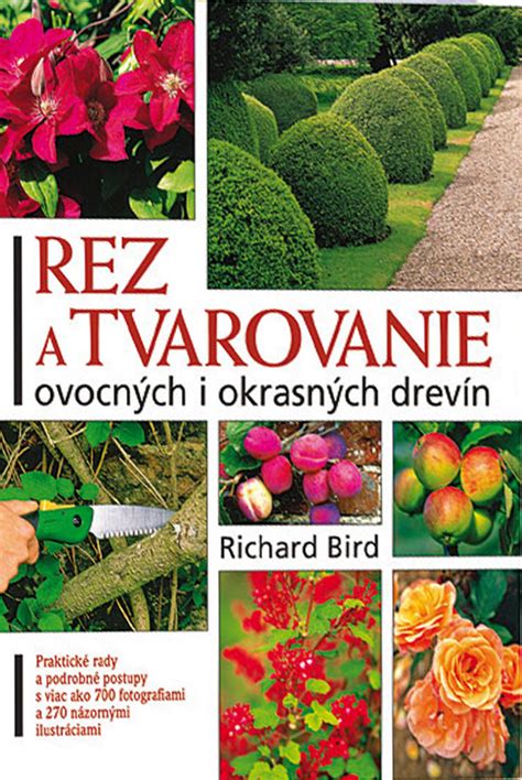 štruktúra rezov okrasných drevín