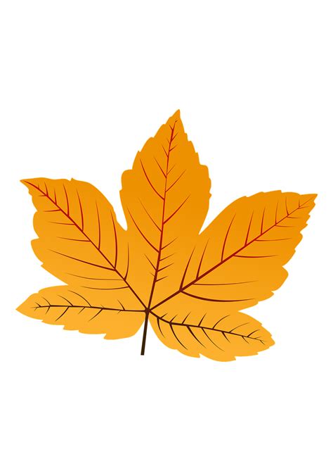 jesenné lístie na záhonoch