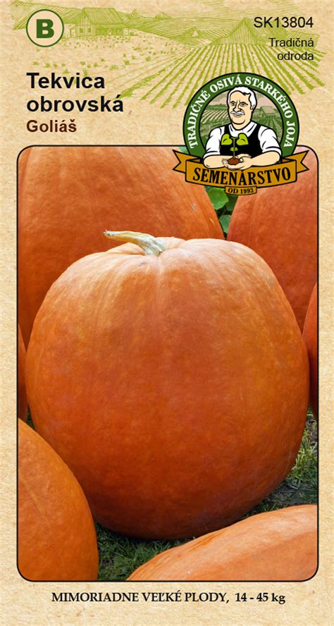 Detaily výsevu semien tekvice do záhonu.