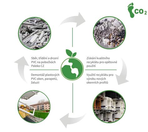 Infografika znázorňujúca proces nakličovania hľúz v plastových boxoch