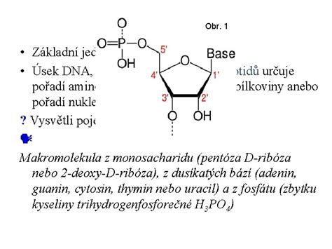 Schéma vrstiev akváriového dna s popisom substrátov