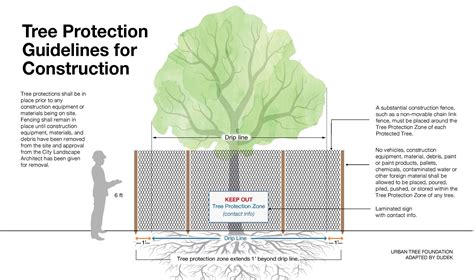 Diagram illustrating various winter protection methods for olive trees in pots and ground