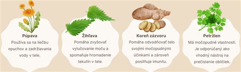 Infografika porovnávajúca retenčné vlastnosti (zadržiavanie vody) rašeliny, perlitu a kokosového vlákna