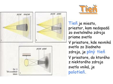 Schéma typov tieňa v záhrade: polotieň, mozaikový tieň a plný tieň v závislosti od budov a stromov