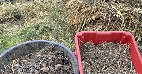 Schéma pôsobenia granulovaného hnoja v pôde - proces bobtnania granúl a uvoľňovania živín ku koreňom rastlín