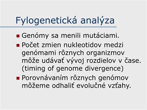 strom evolučných vzťahov húb