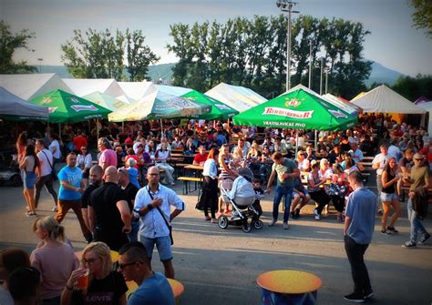 ilustračná fotografia rôznych druhov brusníc