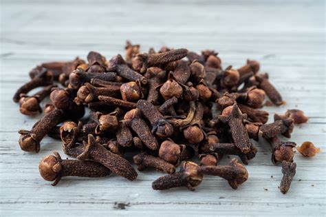 Schéma klinčekovca voňavého a detail kvetného púčika