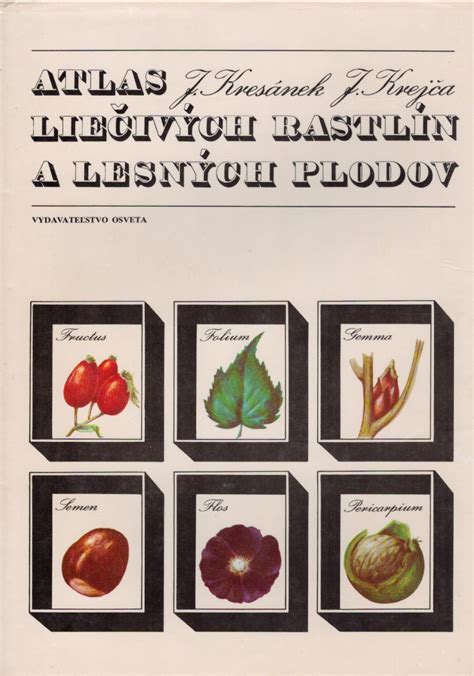 Detailná schéma plodov skalníka a hlohyne