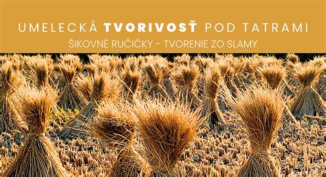 Infografika znázorňujúca zazimovanie figovníka obalením do jutoviny a výplňou zo slamy