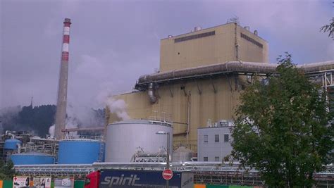 Schéma znázorňujúca proces zatvárania listov citlivky na základe mechanického podnetu (pulvinus)