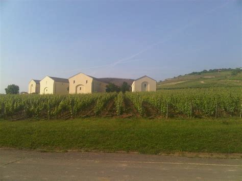 Vinice vinárstva Merlaj v Pezinku