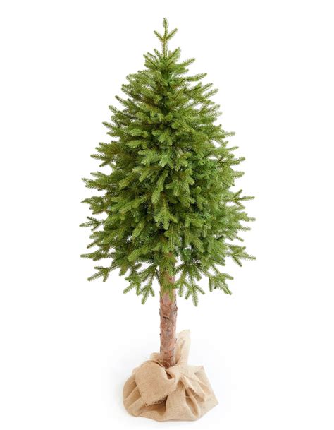 Schéma konštrukcie a rozloženia 3D vetiev na kmeni stromčeka