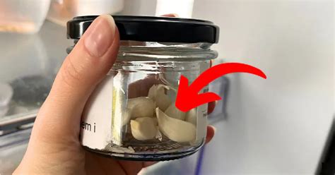 Schéma ideálnych podmienok na skladovanie cesnaku: sucho, tma a teplota v rozmedzí 0-10 °C.