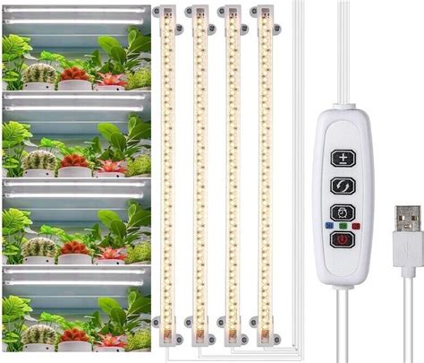 Schéma ideálnych podmienok pre tropické rastliny (svetlo, teplota, zálievka, vlhkosť)