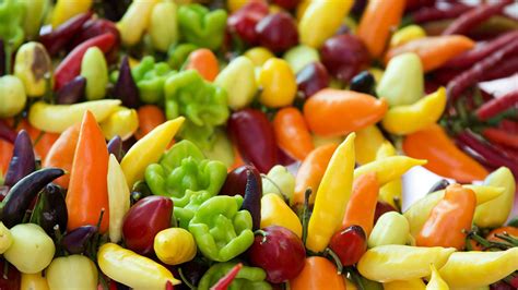 Ilustračné foto rôznych druhov chilli papričiek