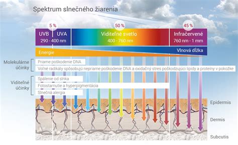 Schéma znázorňujúca vplyv striedania slnečného žiarenia a mrazu na kmeň stromu, vznik mrazových trhlín na južnej strane
