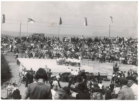 Fotografia čemerice východnej