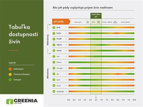 Infografika znázorňujúca ideálne pH pôdy pre čučoriedky a typy hnojív.