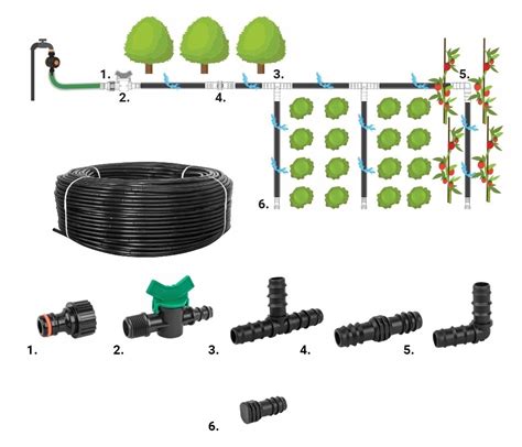 Schéma inštalácie kvapkovej závlahy: prepojenie nádrže alebo vodovodu, filtra, riadiacej jednotky, hlavnej hadice a jednotlivých kvapkačov pri koreňoch rastlín.
