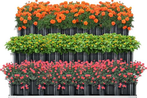 Záhradný záhon s rôznorodou výsadbou kvetov a byliniek