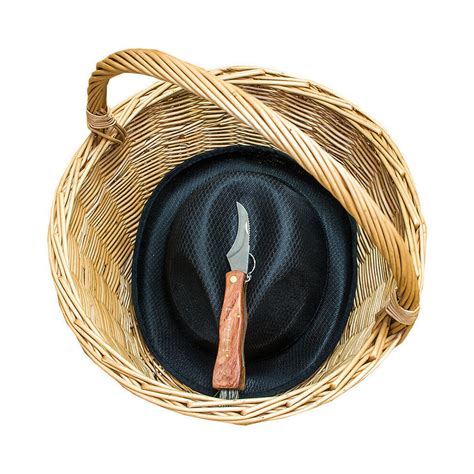 Ilustrácia: Ruka zbierajúca hubu s nožíkom do košíka