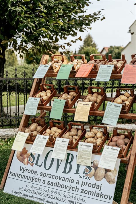 Kompozícia fotografií rôznych zemiakových odrôd s popiskami