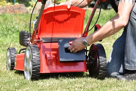 Ilustrácia mulčovania trávnika