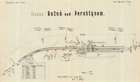 schematický nákres kvetného úboru harmančeka s vyznačeným dutým lôžkom