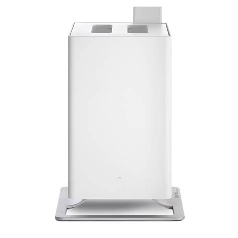 Infografika: požiadavky ruže na slnko a cirkuláciu vzduchu