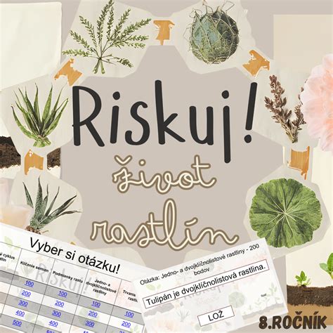 Štruktúra ríbezľového kríka s vyznačenými jednoročnými, dvojročnými a staršími výhonkami