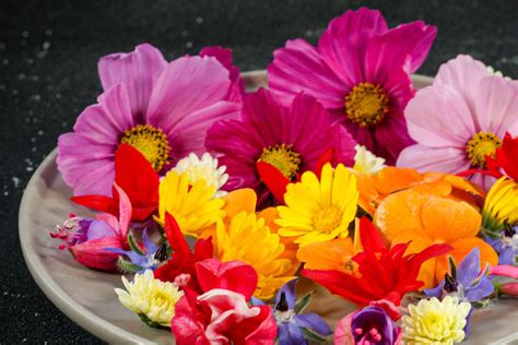 Infografika: Rôzne formy kalerábu v jedlách (čerstvý, strúhaný, varený)