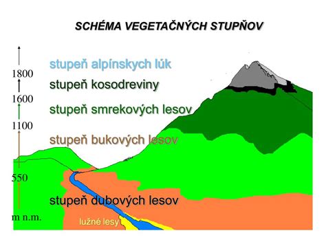 Schéma prirodzeného výskytu a vegetačných stupňov kosodreviny v európskych pohoriach