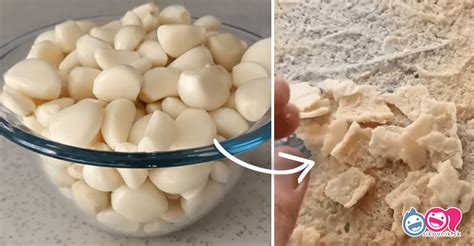 ilustrácia správneho skladovania cesnaku v sieťke