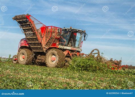Thematic photo of sugar beet harvesting in Slovakia