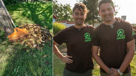 Ilustrácia stromu v štádiu pučania