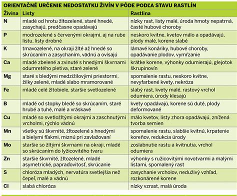 Infografika vysvetľujúca absorpciu živín cez listy